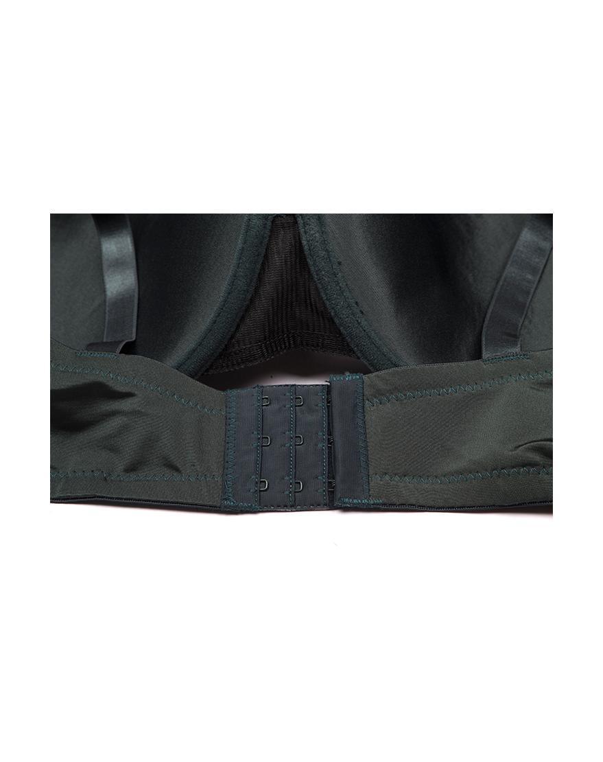 Plus Size Shiny Microfiber & Lace Molded Cup Bra Set