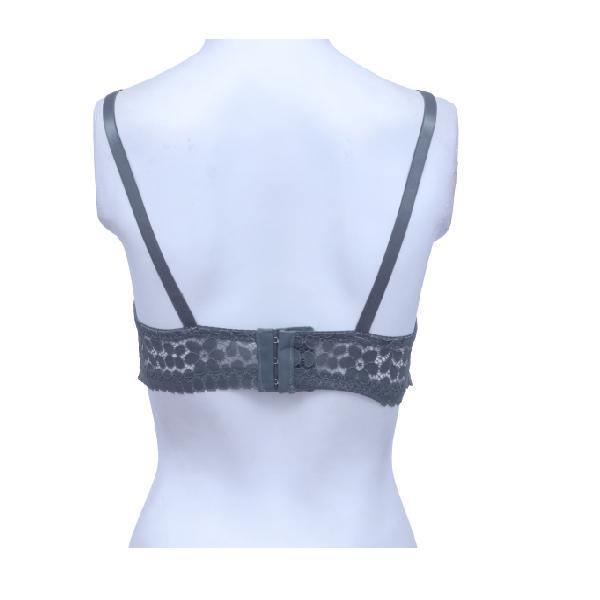 Splendour Embroidered Underwired Bra