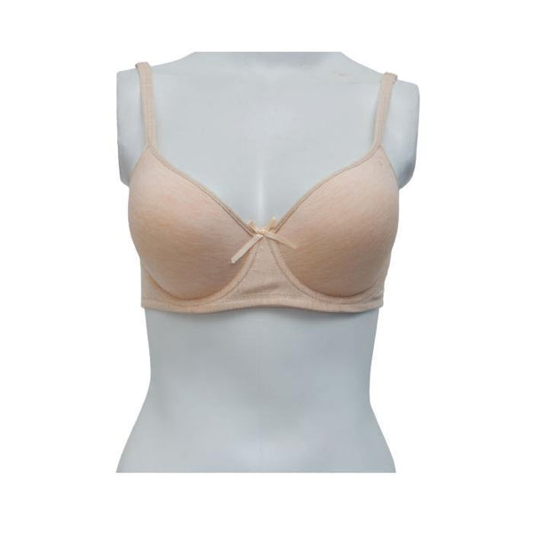 Adira Morph Innovative Leakage Proof Nursing Bra online –