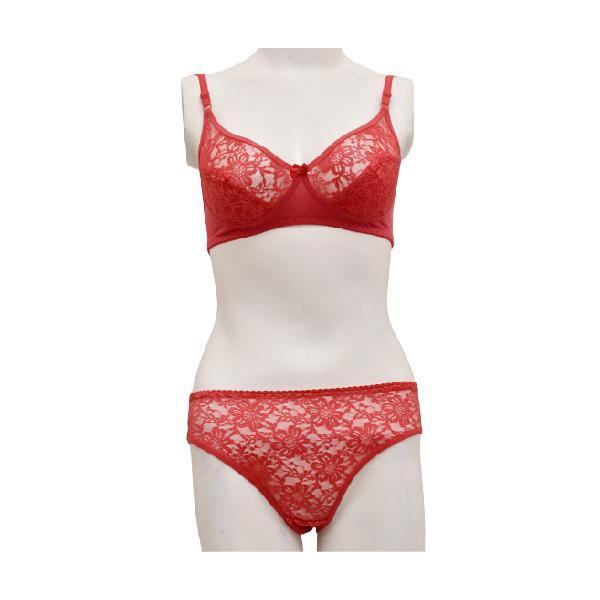 Stretchable Cotton and Net Bra Panty Set Online In Pakistan –