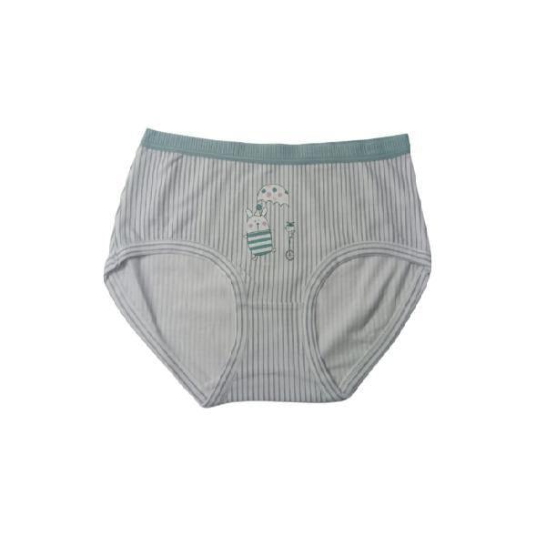 Striped Everyday Cotton Brief/Panties For Women